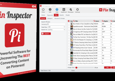 Pin Inspector – Powerful Pinterest Research Software